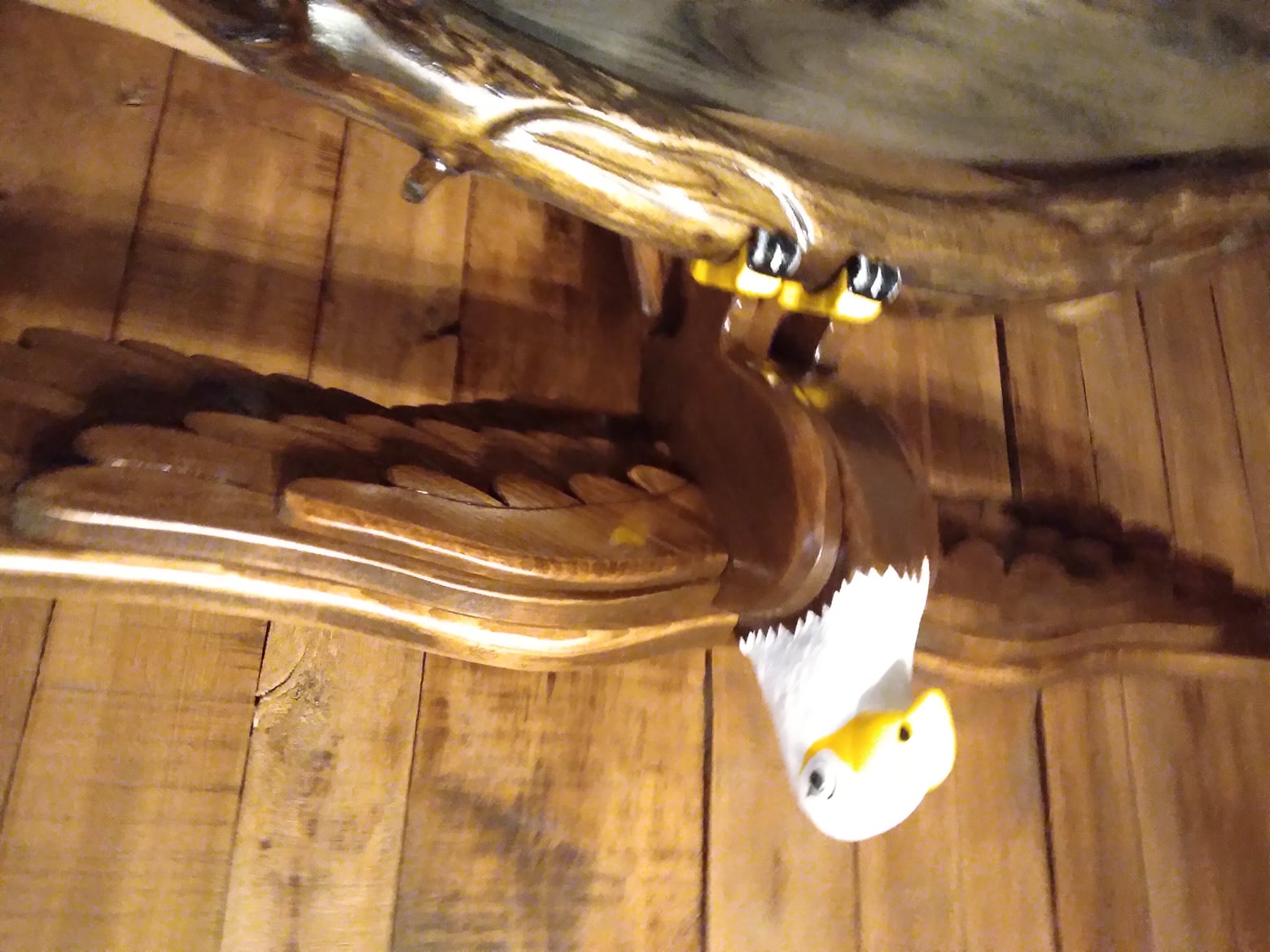 Cabane d'oiseau d'orignal